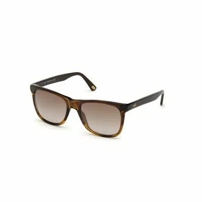 Web Eyewear Men's Sunglasses  Gbby2 In Brown