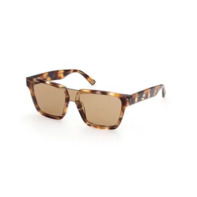 Web Eyewear Plastic Men's Sunglasses In Brown