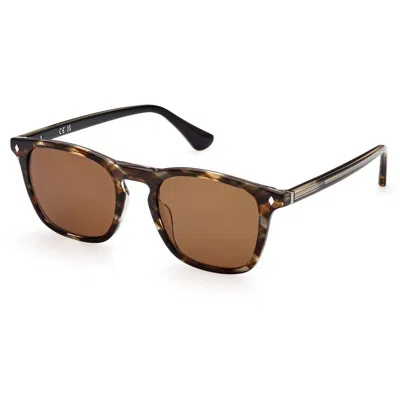 Web Eyewear Sunglasses