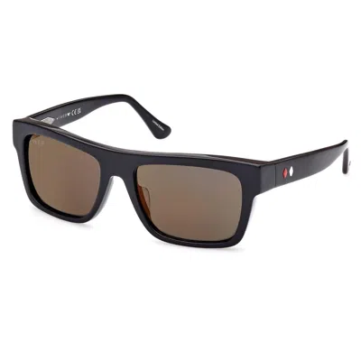 Web Eyewear Sunglasses