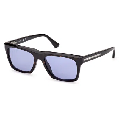 Web Eyewear Sunglasses