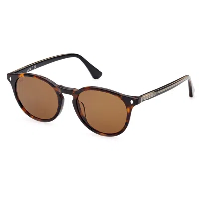 Web Eyewear Sunglasses