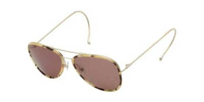 Web Eyewear We0069/s 54e Men's Sunglasses Tortoiseshell Size 58 In Gold