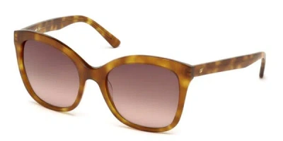 Web Eyewear We0165 53f Women's Sunglasses Tortoiseshell Size 55 In Brown