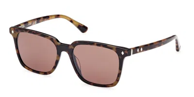 Web Eyewear We0348 56e Men's Sunglasses Tortoiseshell Size 53