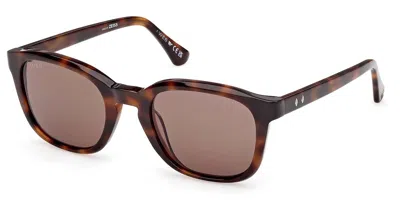 Web Eyewear Web Occhiali Da Vista We0390 52e Occhiali Da Sole Tartarugatishell Per Uomo In Brown