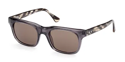 Web Eyewear Web We0336 20e Men's Sunglasses Grey Size 53 In Brown