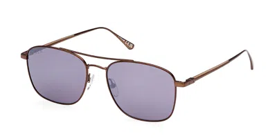 Web Eyewear Web We0341 37a Men's Sunglasses Brown Size 55 In Purple
