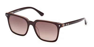 Web Eyewear Web We0348 50f Men's Sunglasses Brown Size 53