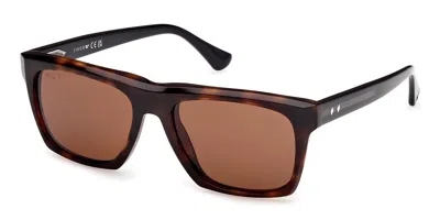 Web Eyewear Web We0350 55e Men's Sunglasses Tortoiseshell Size 55 In Brown