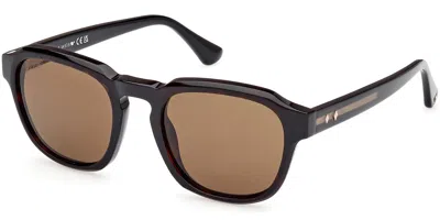 Web Eyewear Web We0370 56j Men's Sunglasses Tortoiseshell Size 52 In Black