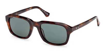 Web Eyewear Web Occhiali Da Vista Web We0389 52n Occhiali Da Sole Tartarugatishell Per Uomo In Brown