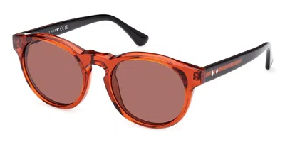 Web Eyewear Web We0324 42s Men's Sunglasses Orange Size 52