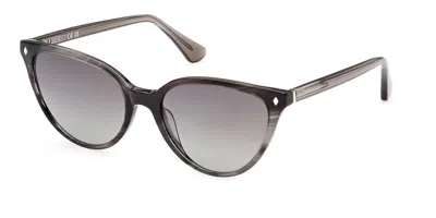 Web Eyewear Web We0329 05b Women's Sunglasses Black Size 54