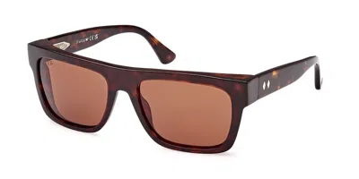 Web Eyewear Web We0334 52e Men's Sunglasses Tortoiseshell Size 56 In Brown