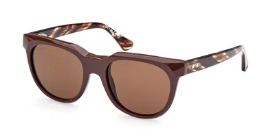 Web Eyewear Web We0335 48e Women's Sunglasses Brown Size 52