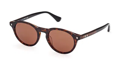 Web Eyewear Web We0337 56e Men's Sunglasses Tortoiseshell Size 50 In Brown