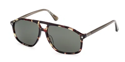 Web Eyewear Web We0338 55n Men's Sunglasses Tortoiseshell Size 59 In Brown