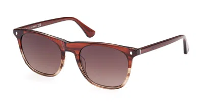 Web Eyewear Web We0339 71f Men's Sunglasses Brown Size 53