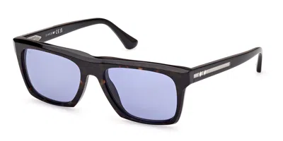 Web Eyewear Web We0350 56v Men's Sunglasses Tortoiseshell Size 55 In Black