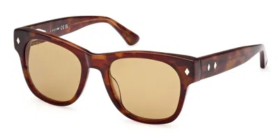 Web Eyewear Web We0353 56e Men's Sunglasses Tortoiseshell Size 52 In Brown