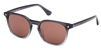 Web Eyewear Web We0364 20s Men's Sunglasses Grey Size 52