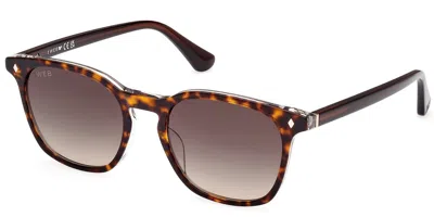 Web Eyewear Web We0364 56b Men's Sunglasses Tortoiseshell Size 52