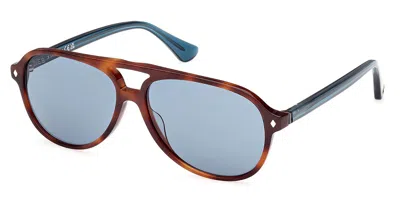 Web Eyewear Web We0368 56v Men's Sunglasses Tortoiseshell Size 59 In Brown