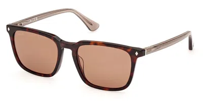 Web Eyewear Web We0369 56e Men's Sunglasses Tortoiseshell Size 54 In Brown
