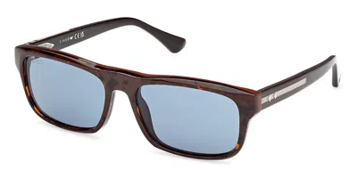 Web Eyewear Web We0371 56v Men's Sunglasses Tortoiseshell Size 58 In Brown