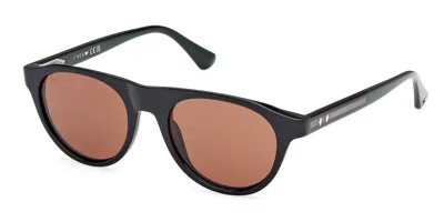 Web Eyewear Web We0377 98e Men's Sunglasses Green Size 51