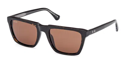 Web Eyewear Web We0379 56e Men's Sunglasses Tortoiseshell Size 55 In Brown