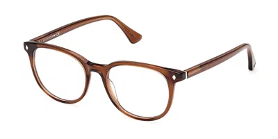 Web Eyewear Web We5398 Men's Glasses, Brown, Size 50
