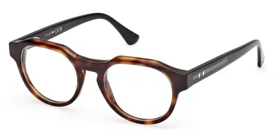 Web Eyewear Web We5421 055 Men's Glasses Tortoiseshell Size 49 - Free Lenses - Blue Light Block Available