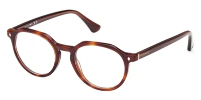 Web Eyewear Web We5427 Men's Glasses, Tortoiseshell, Size 50 In Brown