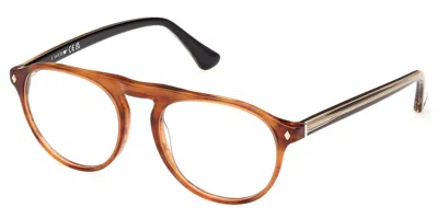 Web Eyewear Web We5429 Men's Glasses, Brown, Size 52
