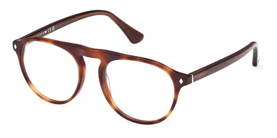 Web Eyewear Web We5429 Men's Glasses, Tortoiseshell, Size 52 In Brown