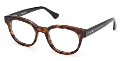 Web Eyewear Web We5431 056 Men's Glasses Tortoiseshell Size 50 - Free Lenses - Blue Light Block Available