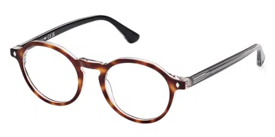 Web Eyewear Web We5440 Men's Glasses, Tortoiseshell, Size 47