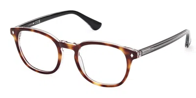 Web Eyewear Web We5441 Men's Glasses, Tortoiseshell, Size 50