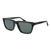 Web Gray Acetate Sunglasses In Black