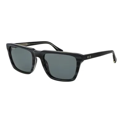 Web Gray Acetate Sunglasses In Black