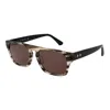 Web Gray Unisex Sunglasses In Brown