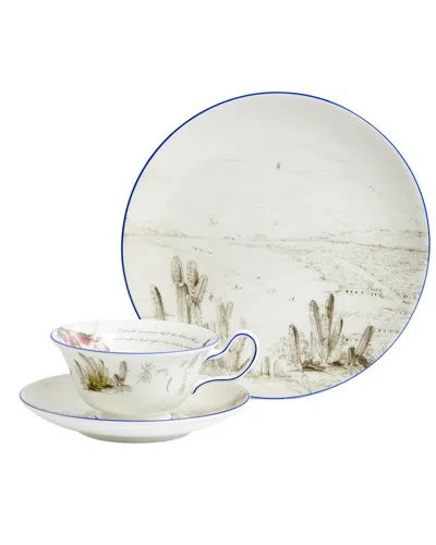 Wedgwood 3pc Darwin Voyage Of The Beagle Chile Teacup, Saucer & Plate Set