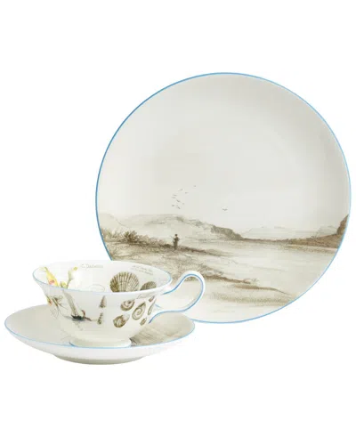 Wedgwood 3pc Darwin Voyage Of The Beagle Galapagos Islands Teacup
