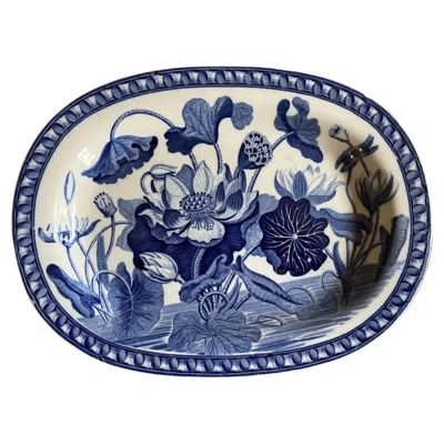 Pre-owned Wedgwood Creamware Blue & White Botanical Platter In Darwin Water Lily Pattern