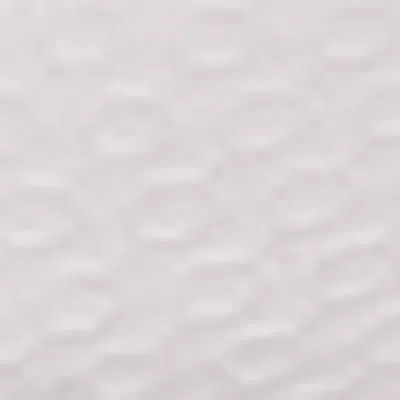 Wedgwood Gio Plate In Neutral