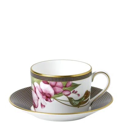 Wedgwood Hummingbird Teacup And Saucer In Multi