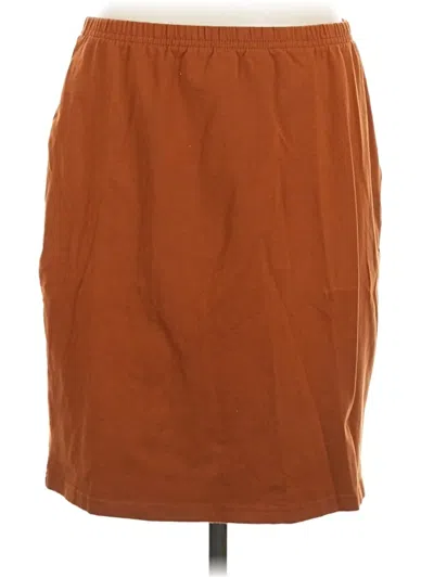Pre-owned Weekend Casual Skirt In Brown
