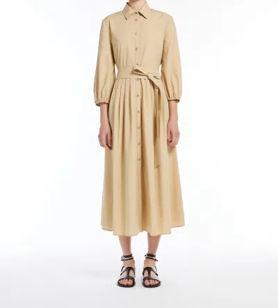 Weekend Kentia In Brown